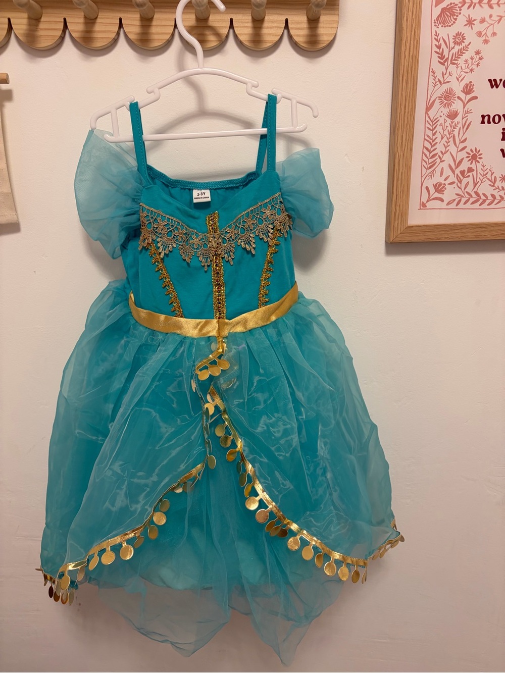 Girls' Teal Princess Costume Dress with Gold Accents